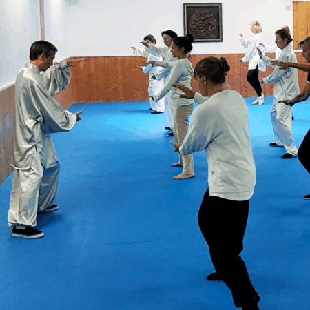 qi gong nice