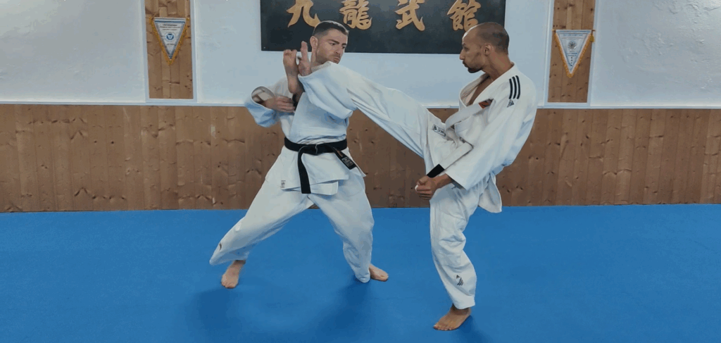 jiujitsu japonais nice