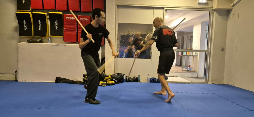 kali silat evolution nice