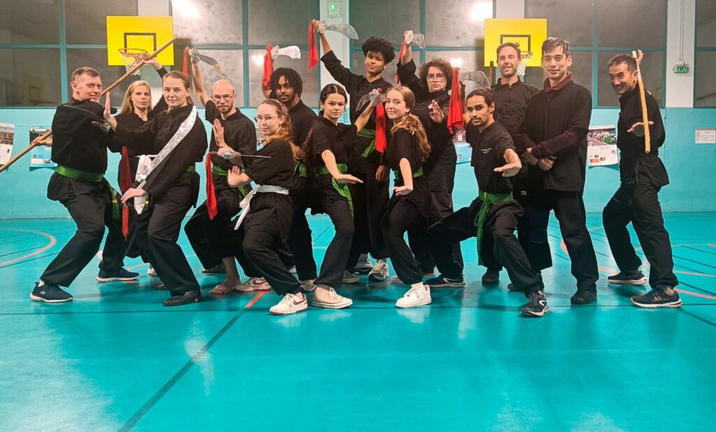 armes kung fu nice