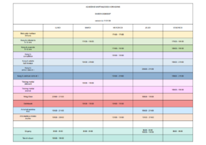 planning saison 2026-2027 academie martiale 9 dragons