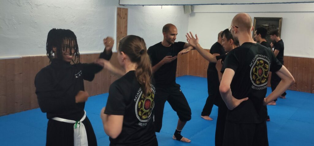 cours de wing chun nice